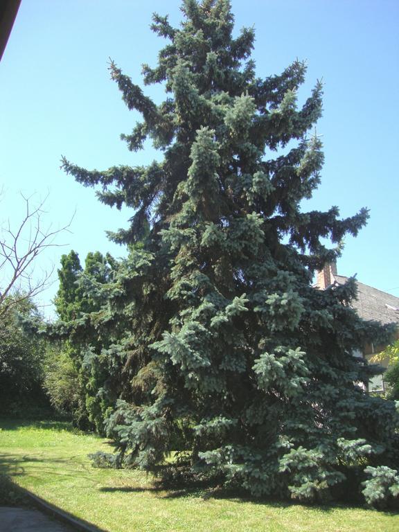 BalatonboglárGyongyvirag Vendeghaz公寓 外观 照片